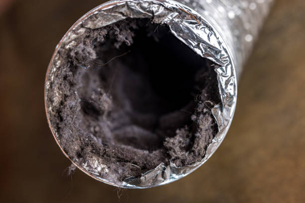 Best Best Air Duct Cleaning Company  in Lihue, HI