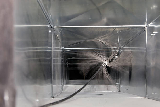 Best Air Duct Mold Removal  in Lihue, HI